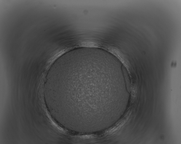 X0000097960433200804011701