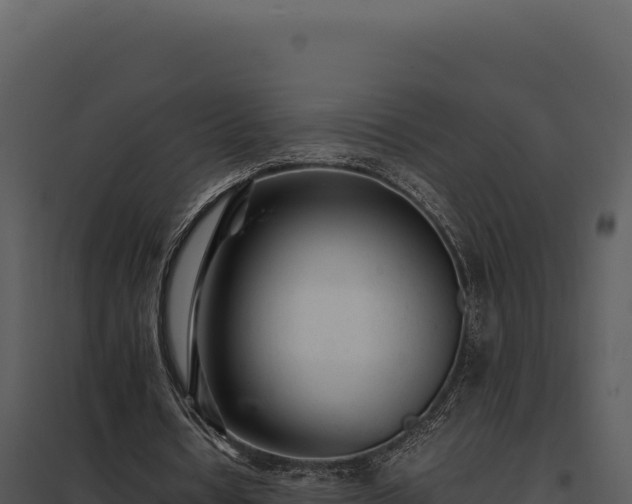 X0000097960434200804011701
