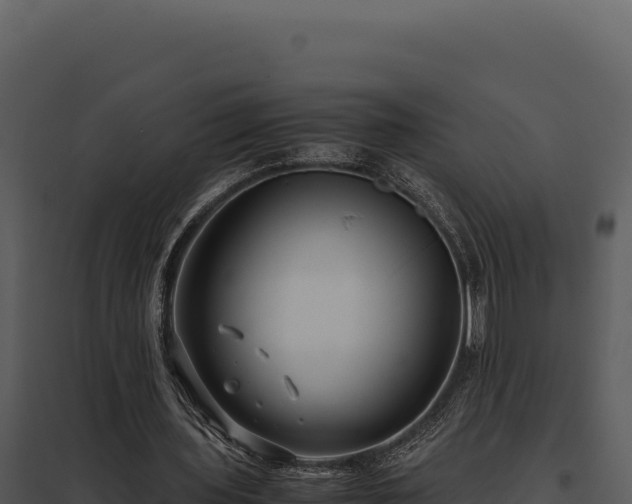 X0000097960435200804011701