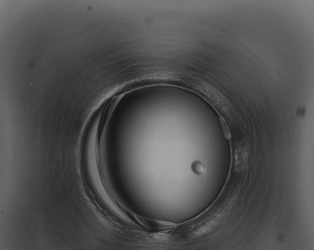 X0000097960436200804011701