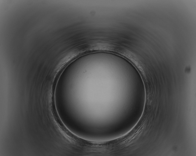 X0000097960437200804011701