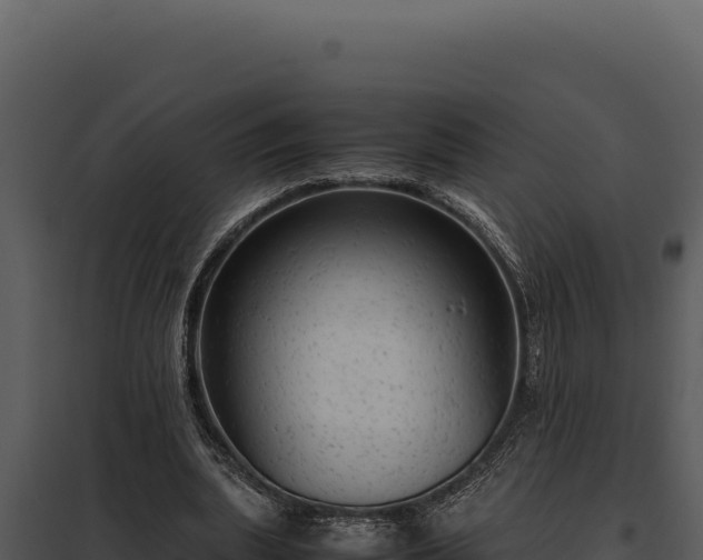 X0000097960439200804011701