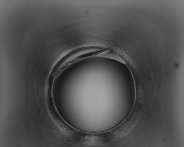 X0000097960440200804011701