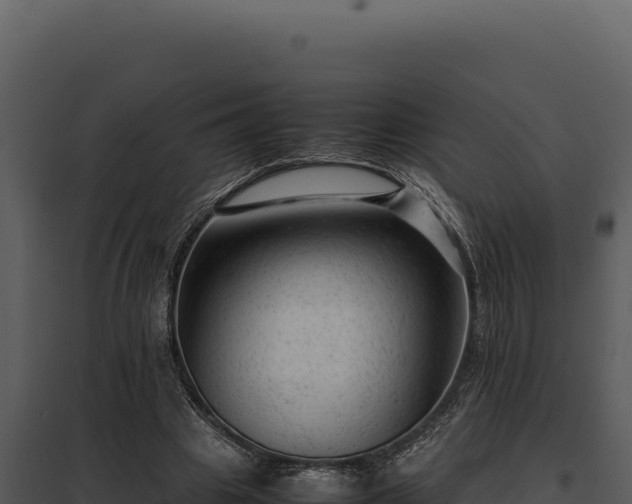 X0000097960441200804011701