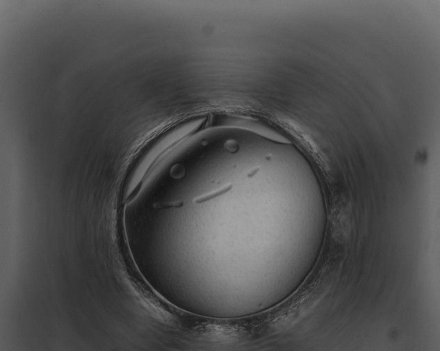 X0000097960442200804011701