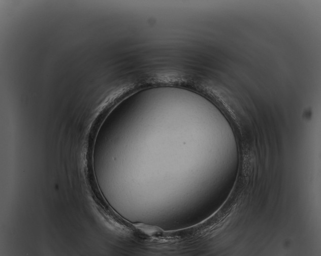 X0000097960443200804011701