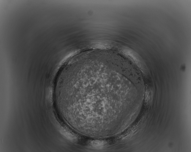 X0000097960444200804011701