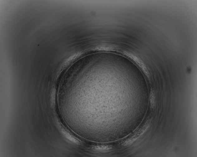 X0000097960445200804011701