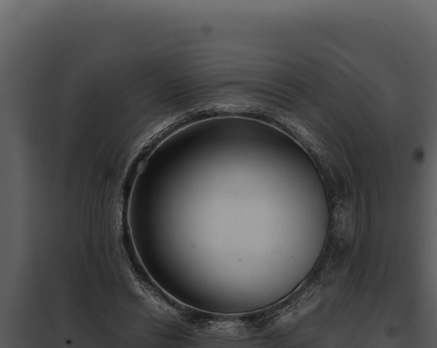 X0000097960446200804011701