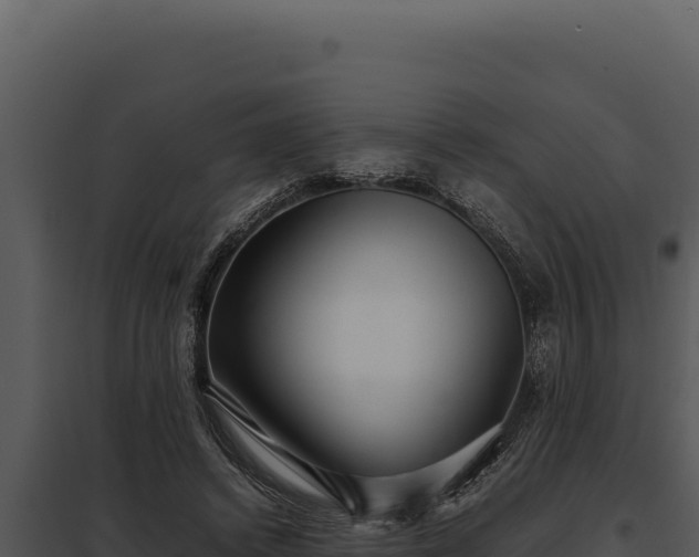 X0000097960448200804011702