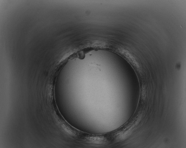 X0000097960449200804011702