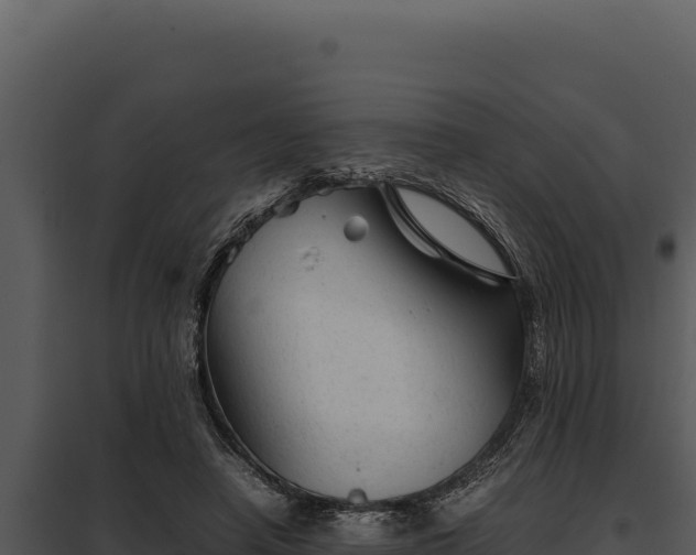 X0000097960450200804011702