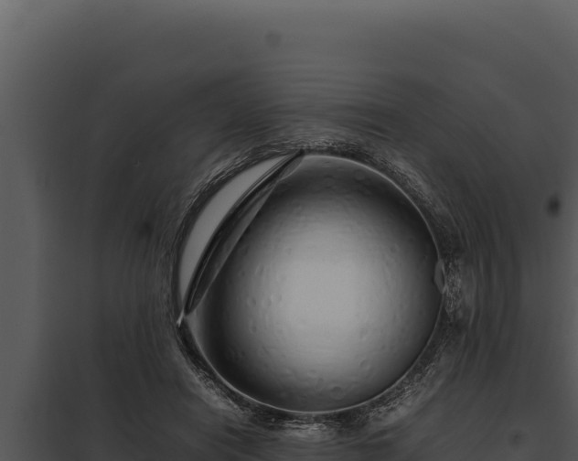 X0000097960454200804011702