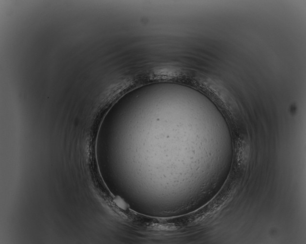 X0000097960455200804011702