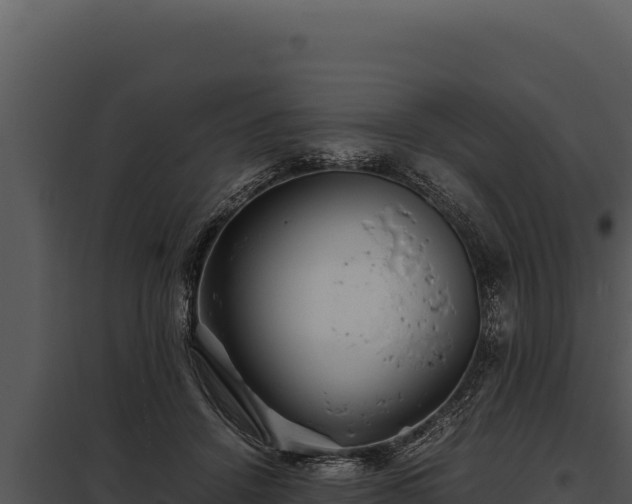 X0000097960456200804011702