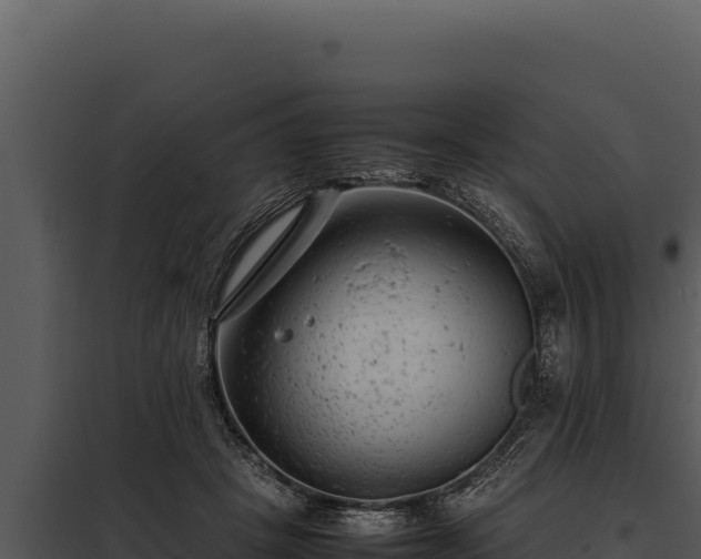 X0000097960457200804011702