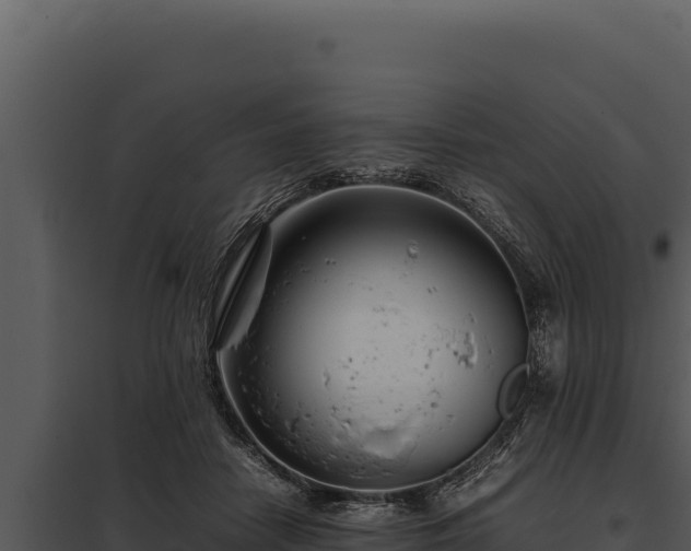X0000097960458200804011702