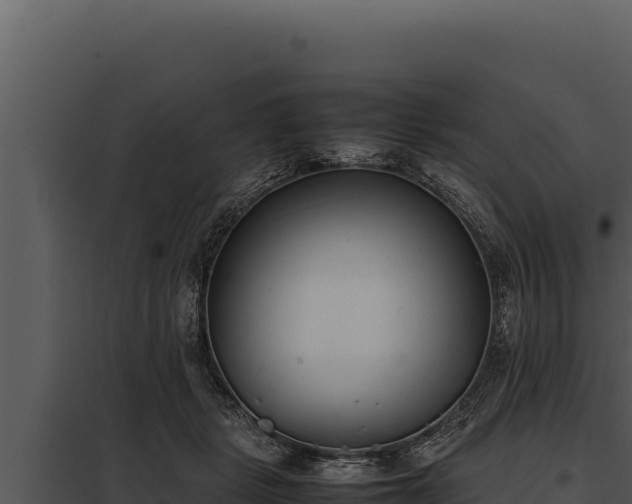X0000097960461200804011702