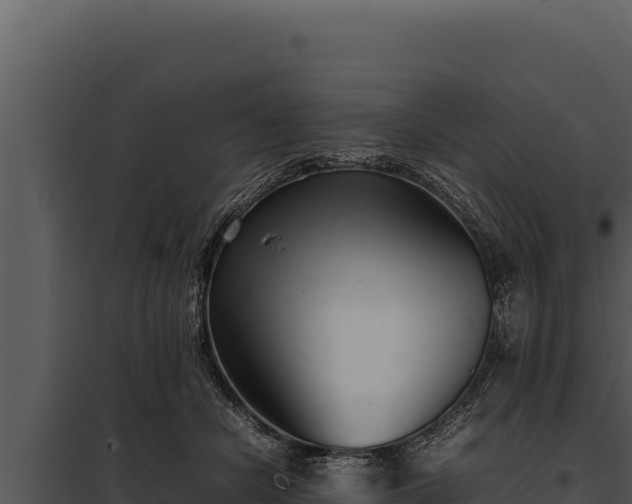 X0000097960462200804011702