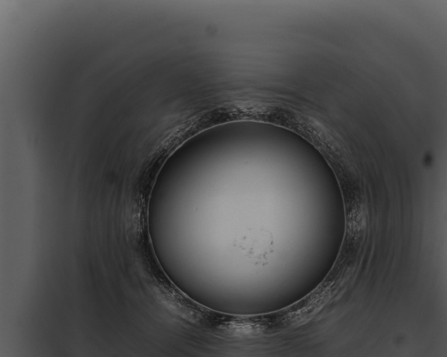 X0000097960464200804011702