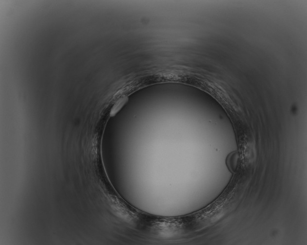 X0000097960466200804011702