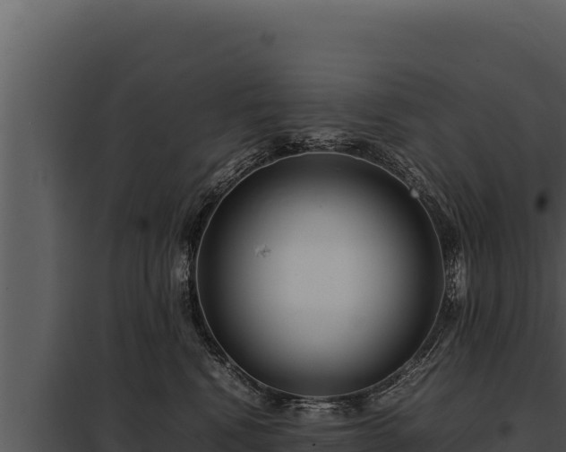 X0000097960472200804011702