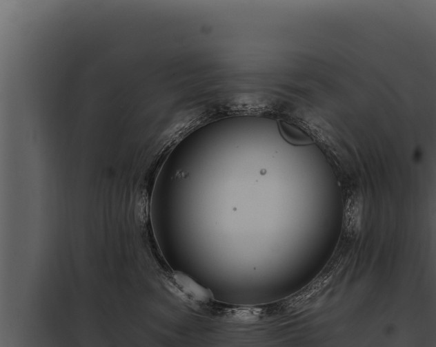 X0000097960474200804011702