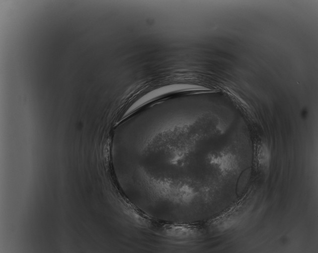 X0000097960475200804011702