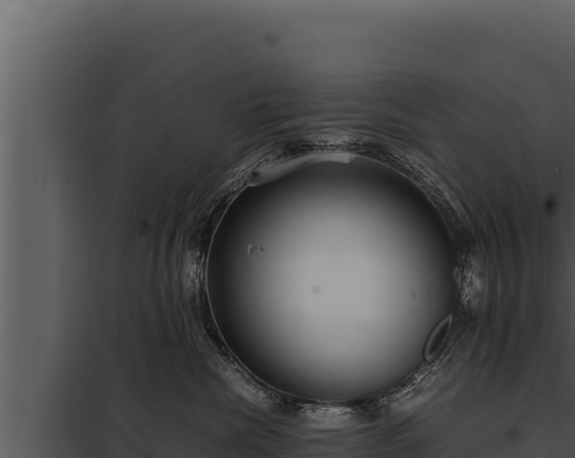 X0000097960476200804011702