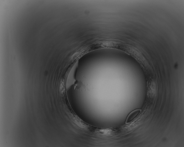X0000097960478200804011702
