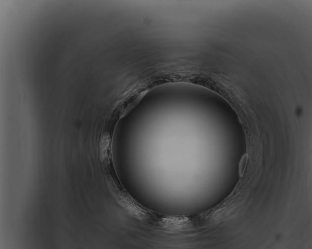 X0000097960480200804011702