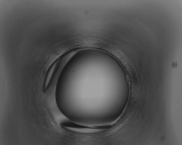 X0000097960481200804011701