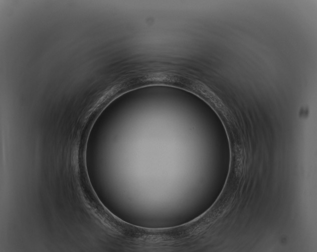 X0000097960482200804011701