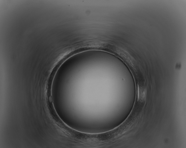 X0000097960483200804011701