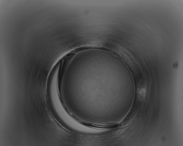 X0000097960484200804011701