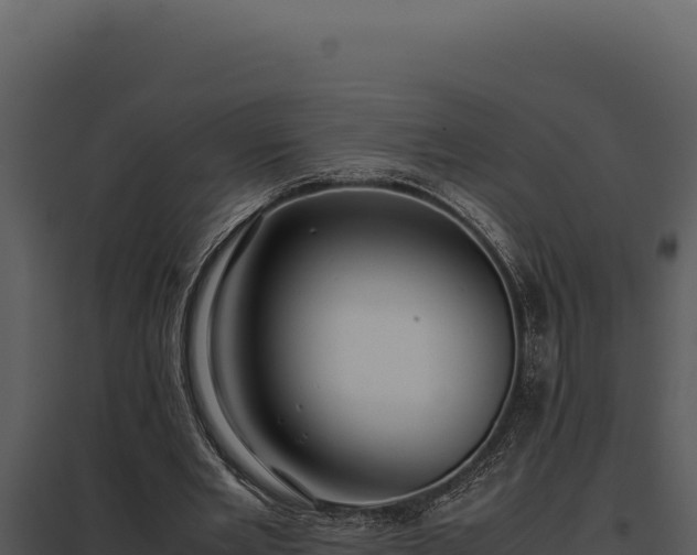 X0000097960485200804011701