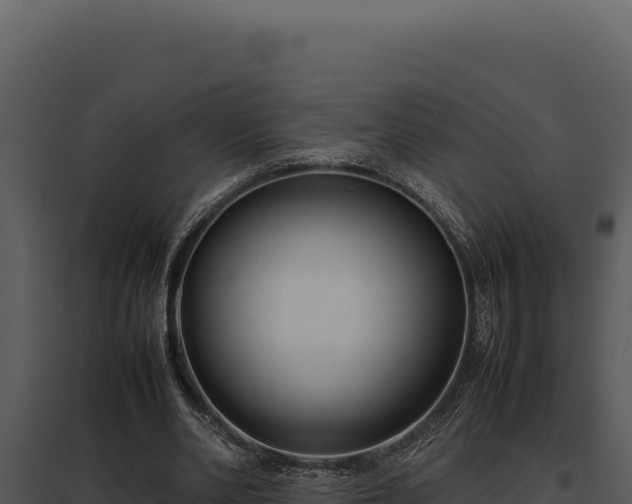 X0000097960486200804011701