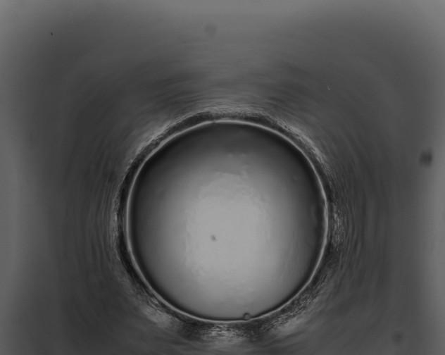 X0000097960487200804011701