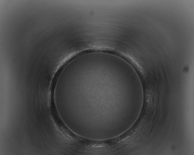X0000097960488200804011701