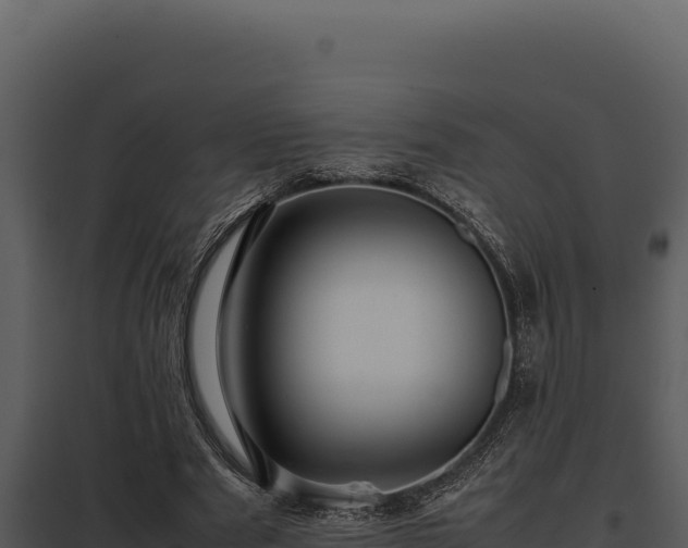 X0000097960489200804011701