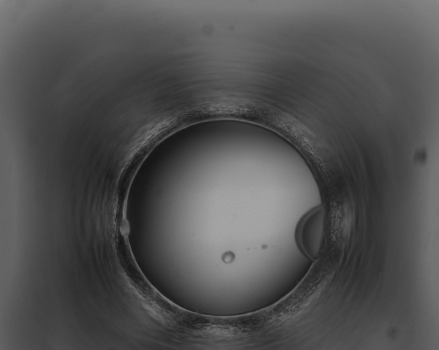 X0000097960490200804011701