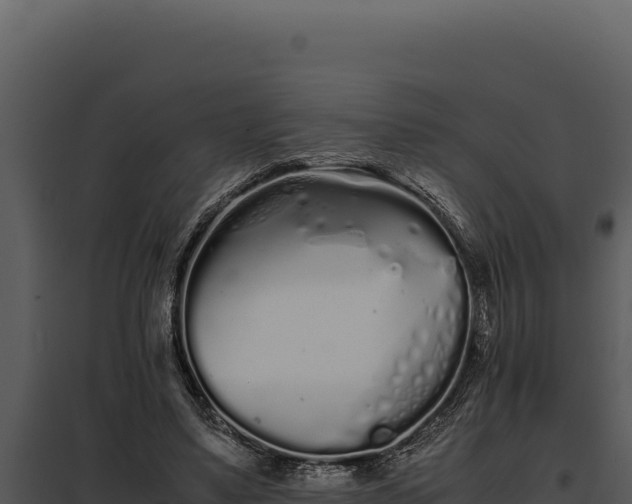 X0000097960491200804011701