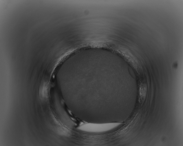 X0000097960492200804011701