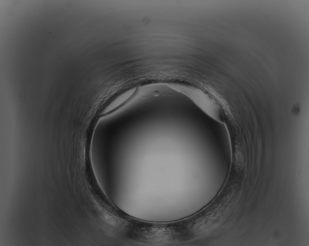 X0000097960493200804011701