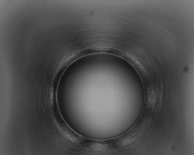 X0000097960494200804011701