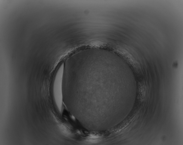 X0000097960496200804011701