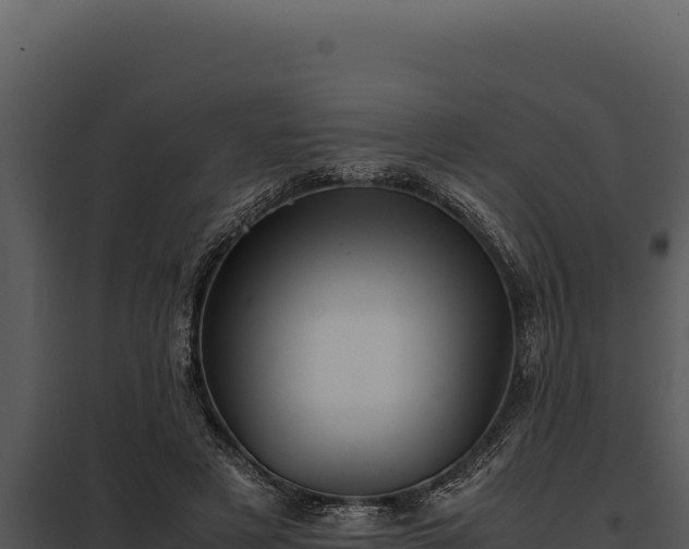 X0000097960497200804011701