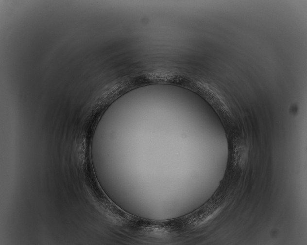 X0000097960498200804011701