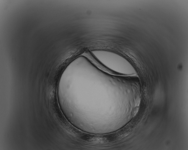 X0000097960499200804011701