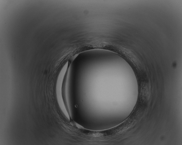 X0000097960501200804011701